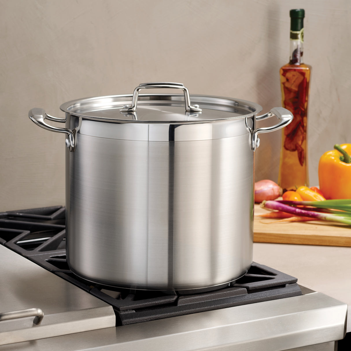Stainless Steel Covered Stock Pot