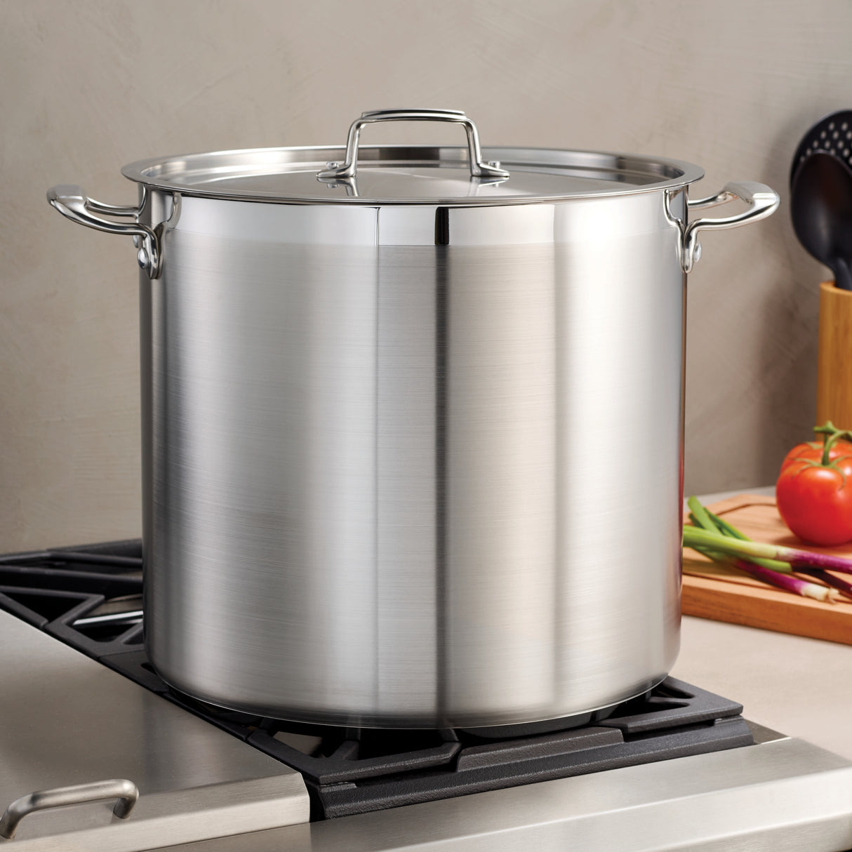 Stainless Steel Covered Stock Pot