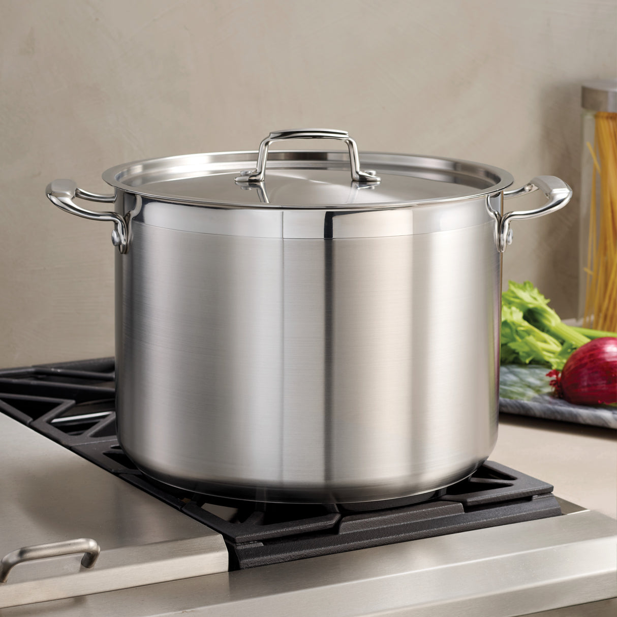 Stainless Steel Covered Stock Pot