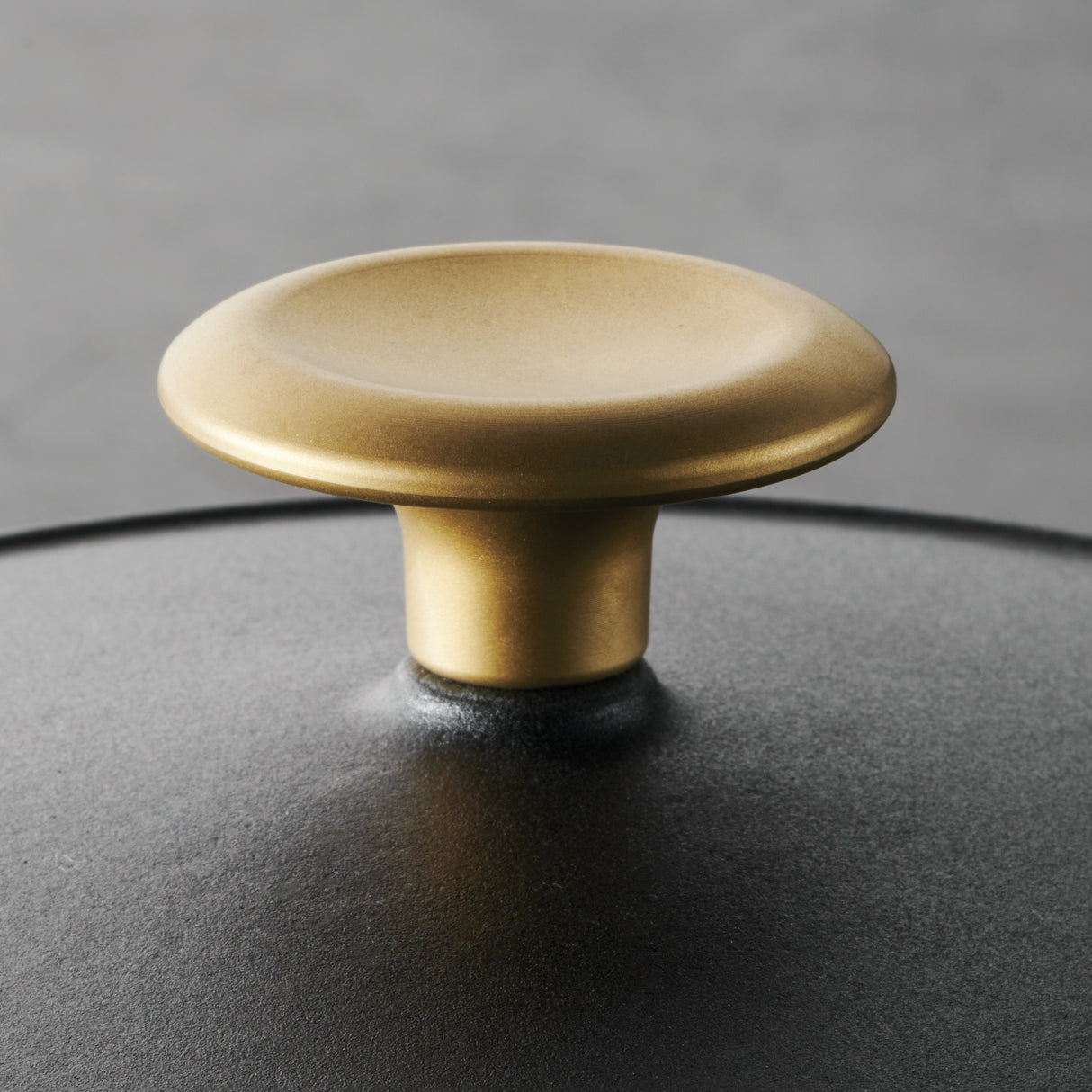 Bestow 5.5 Quart Enameled Cast Iron Covered Round Dutch Oven