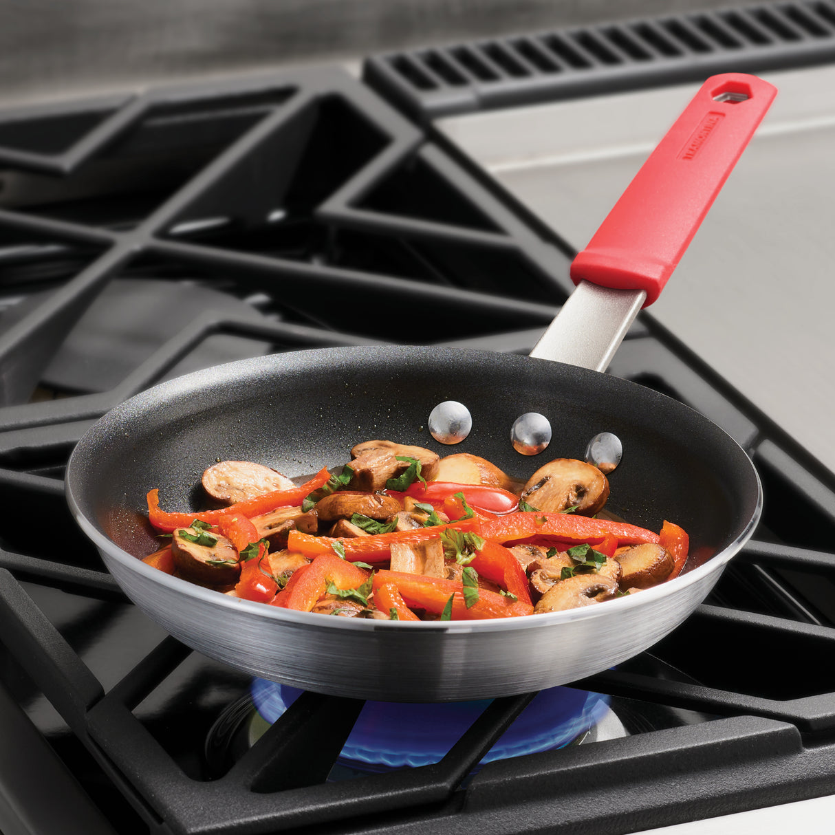 Professional Nonstick Fry Pan