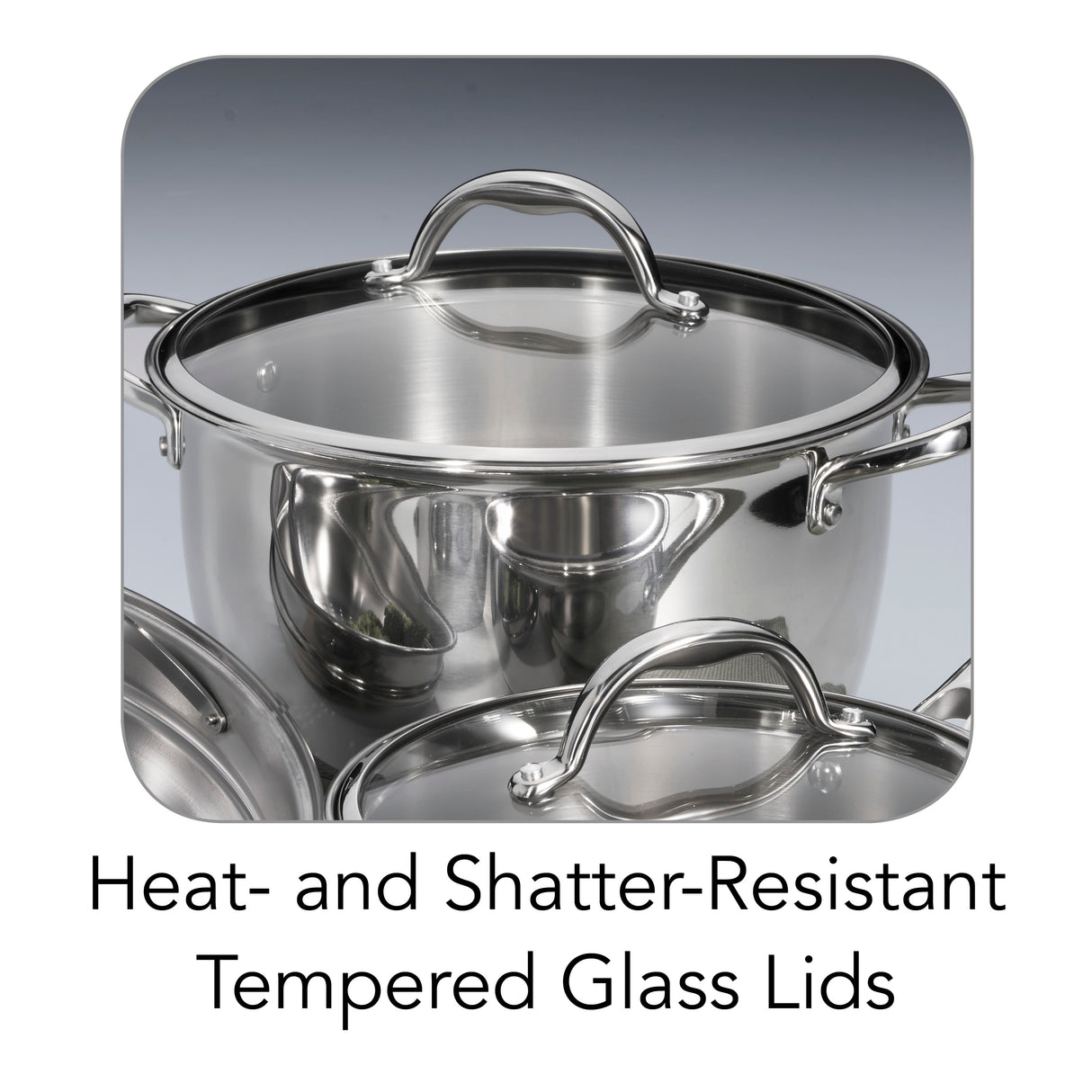 9 Pc Allegra Stainless Steel Cookware Set