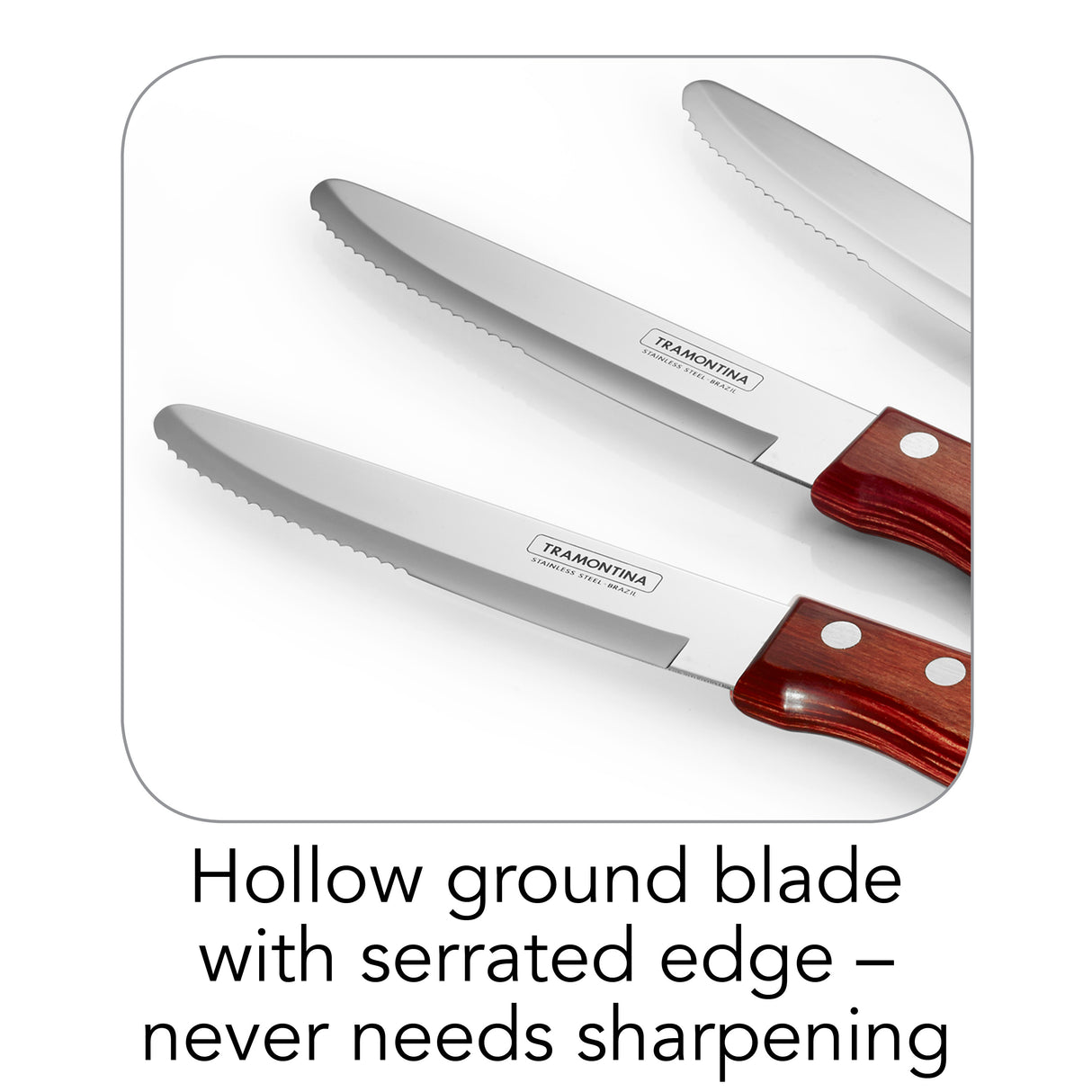 Porterhouse 4 Piece Steak Knife Set - Rounded