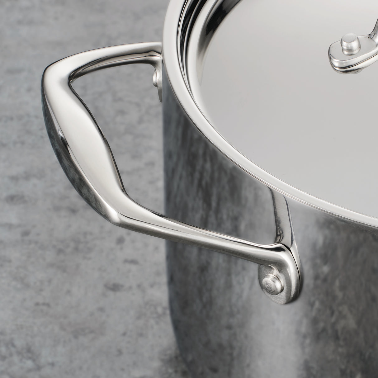 Signature 8 Quart Tri-Ply Clad Stainless Steel Covered Stock Pot